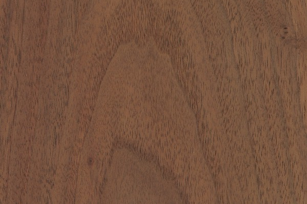 hardwoodwood species sample